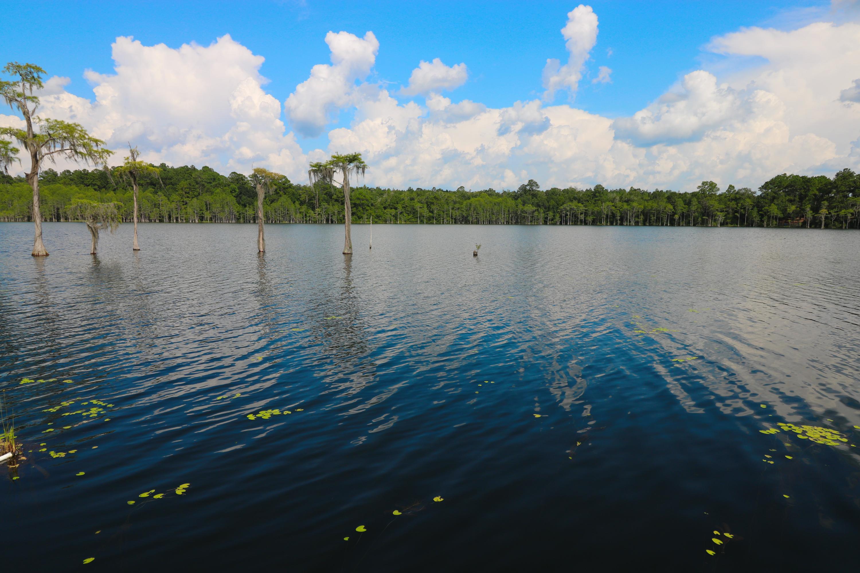 Sunny Hills - Residential