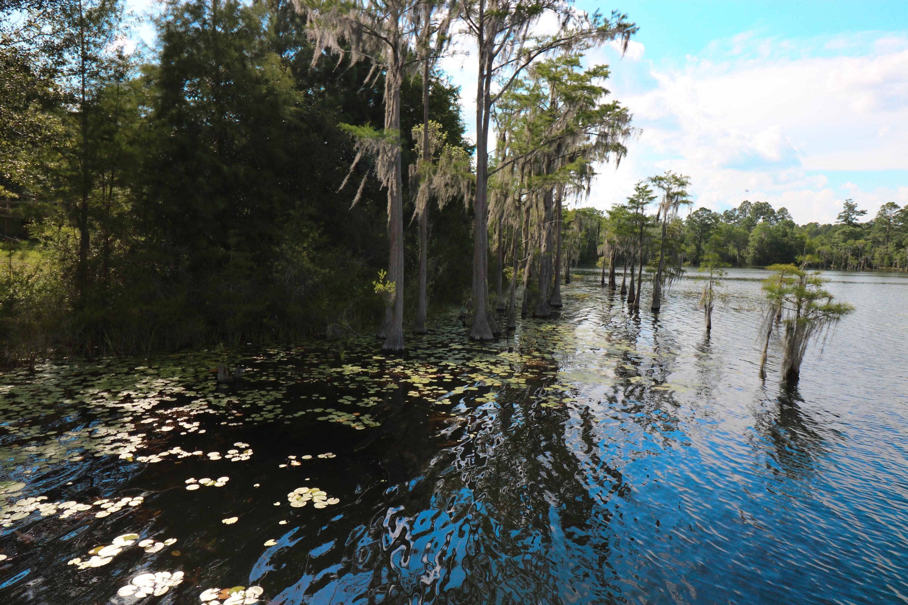 Sunny Hills - Residential