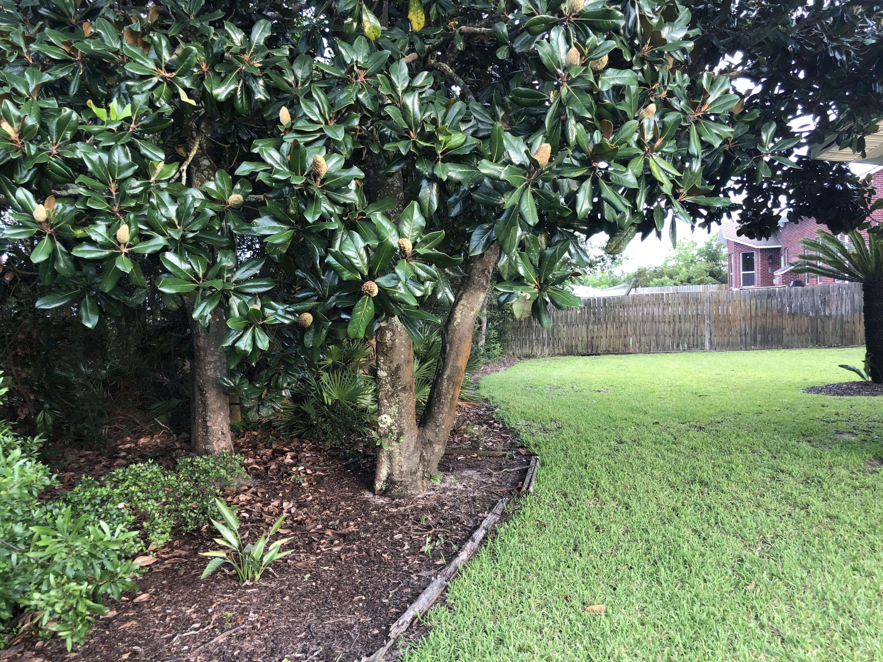 Emerald Pointe Plat III - Residential