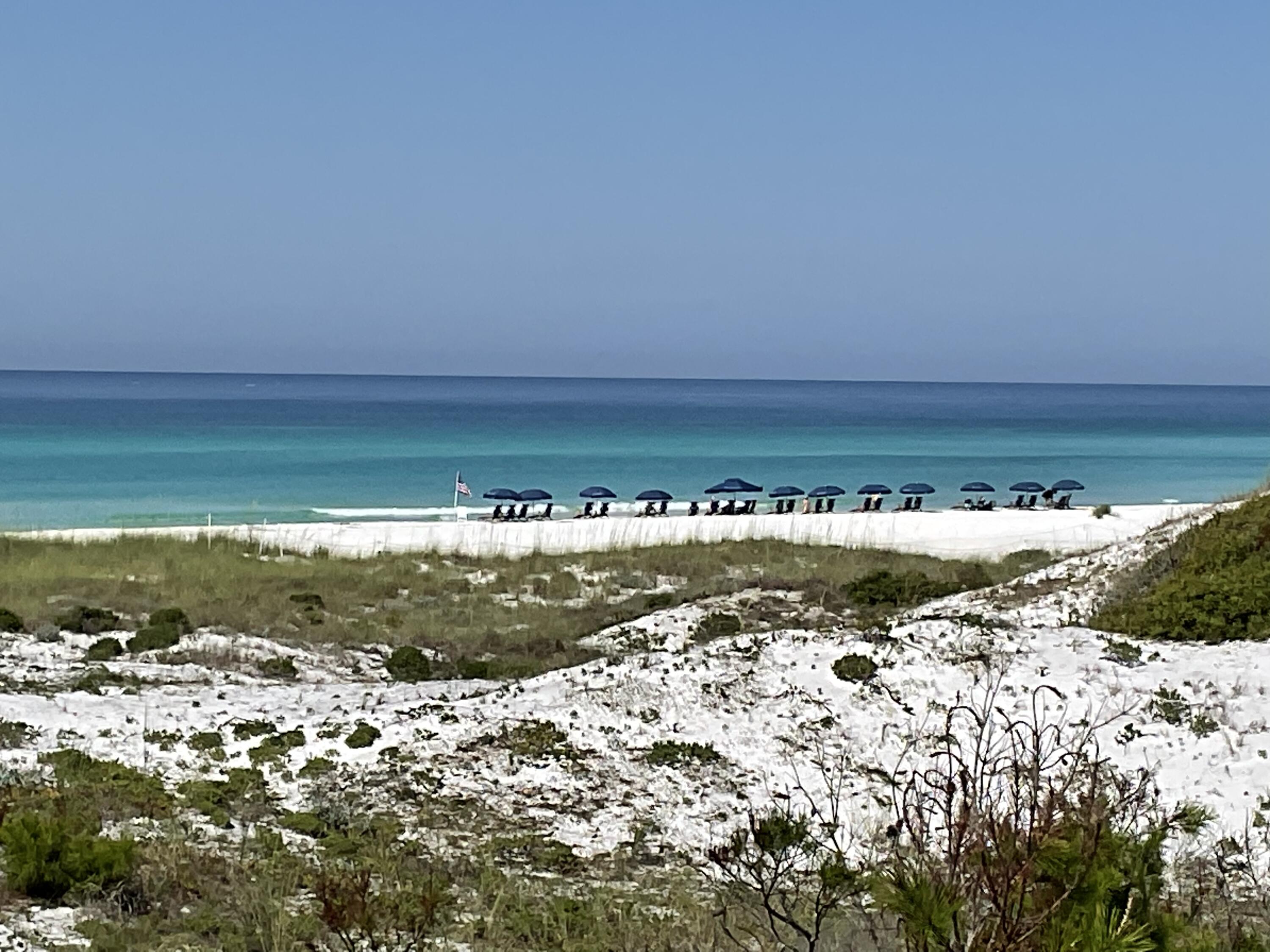 THE PRESERVE AT GRAYTON BEACH - Residential