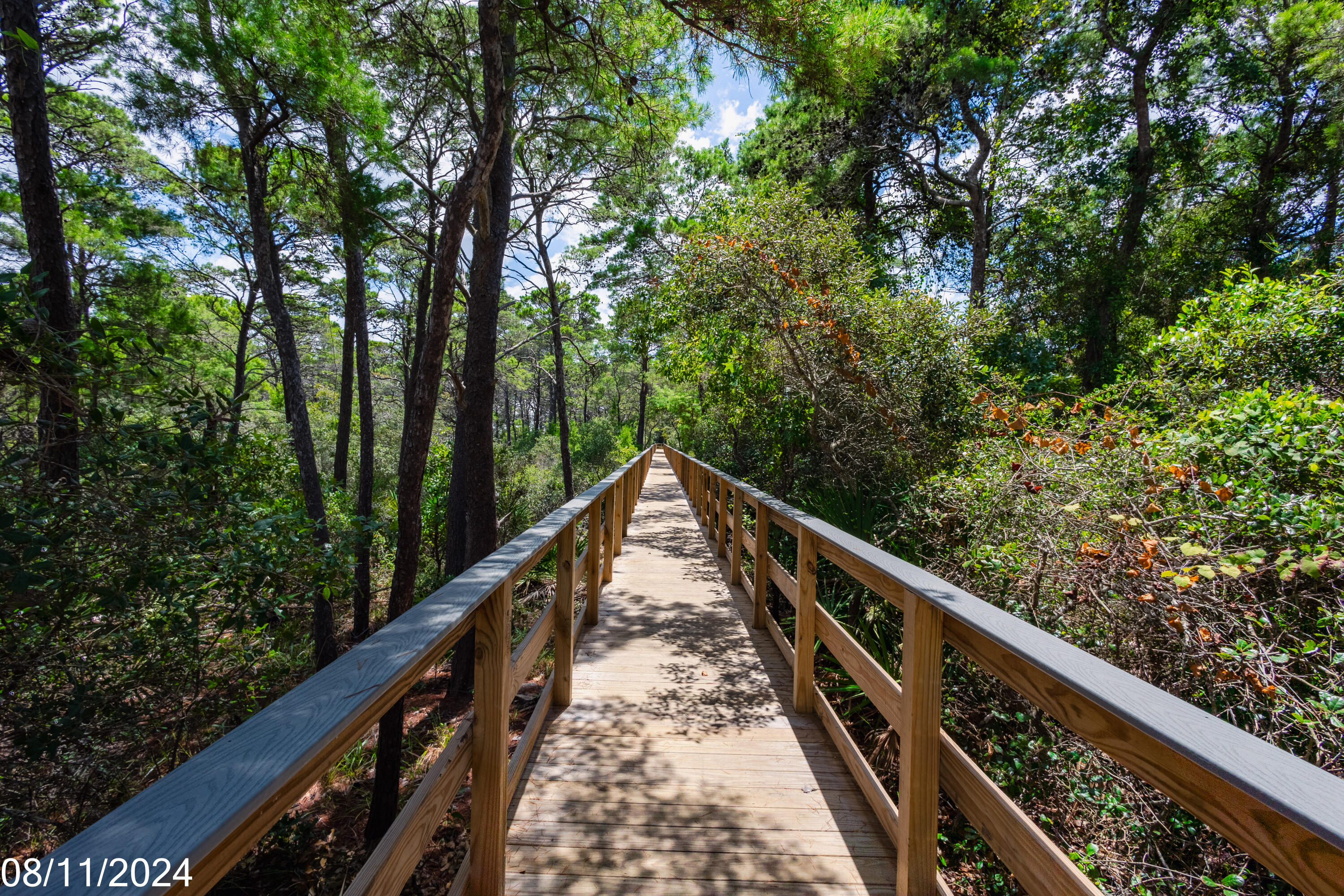 THE PRESERVE AT GRAYTON BEACH - Residential