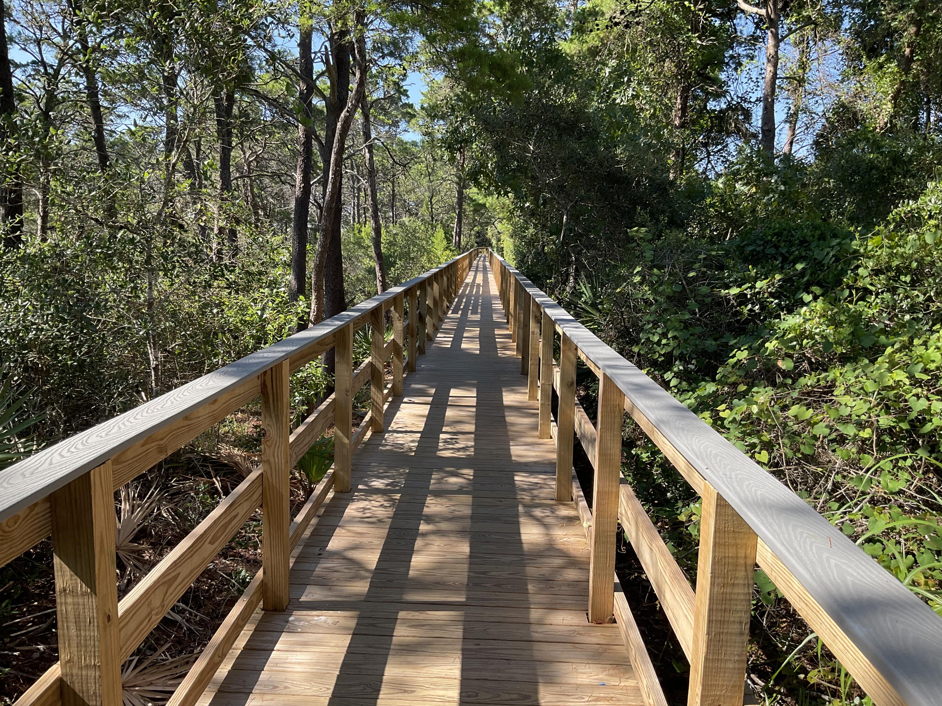 THE PRESERVE AT GRAYTON BEACH - Residential