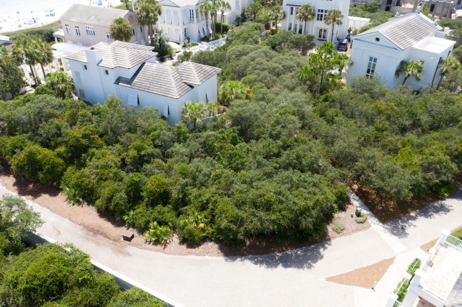 JASMINE DUNES - Land