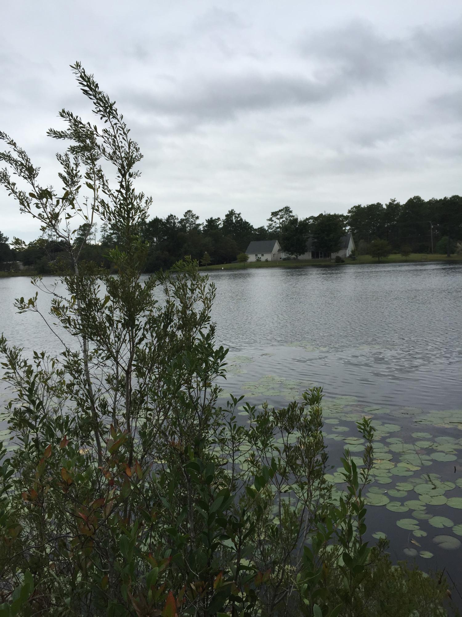 Oakwood Lakes Estates, Unit 7 Oakwood Hills - Land