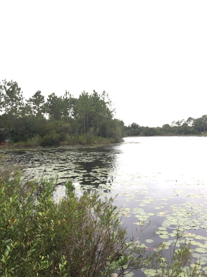 REO - Waterfront lot! Nearly a half acre on the water! Bring your log cabin plans and build your dream house on the water. Come fish and relax!! Adjacent lot also available.