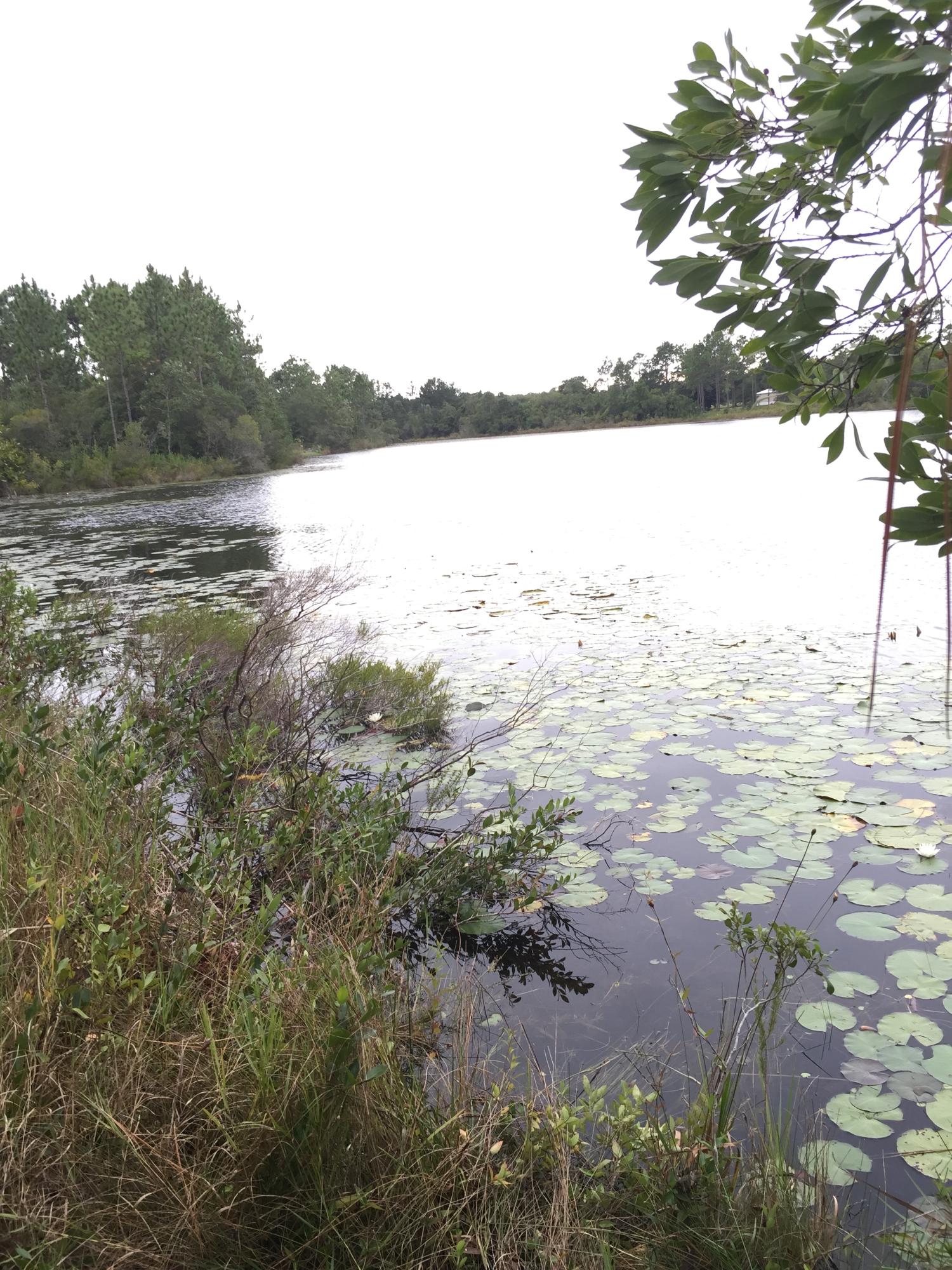 Oakwood Lakes Estates, Unit 7 Oakwood Hills - Land