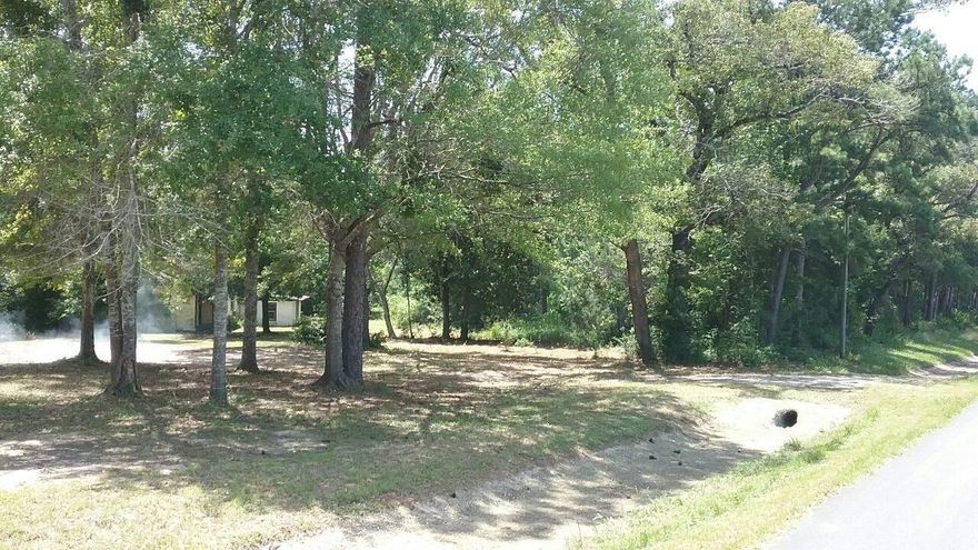 Ready for a project? This country home on 4+ acres near the school and various cold water springs is ready for you to finish what current owner started! Home has 2-3 bedrooms, has new plumbing roughed in and updated electrical. Well pump, tank and control box has been replaced, house was re-leveled, new vinyl siding, windows replaced a few years back and it is ready for new metal roof, kitchen and other utilities. THIS IS AN AS IS SALE-SELLER WILL MAKE NO MORE REPAIRS OR IMPROVEMENTS. CASH SALE ONLY! FINANCING CONTRACTS NOT ACCEPTED, NO OWNER FINANCING, NO RENTAL AGREEMETNS. SELLER WILL PAY CLOSING COSTS! BUYER TO VERIFY ALL MATTERS OF IMPORTANTCE TO THEM PRIOR TO CONTRACT.