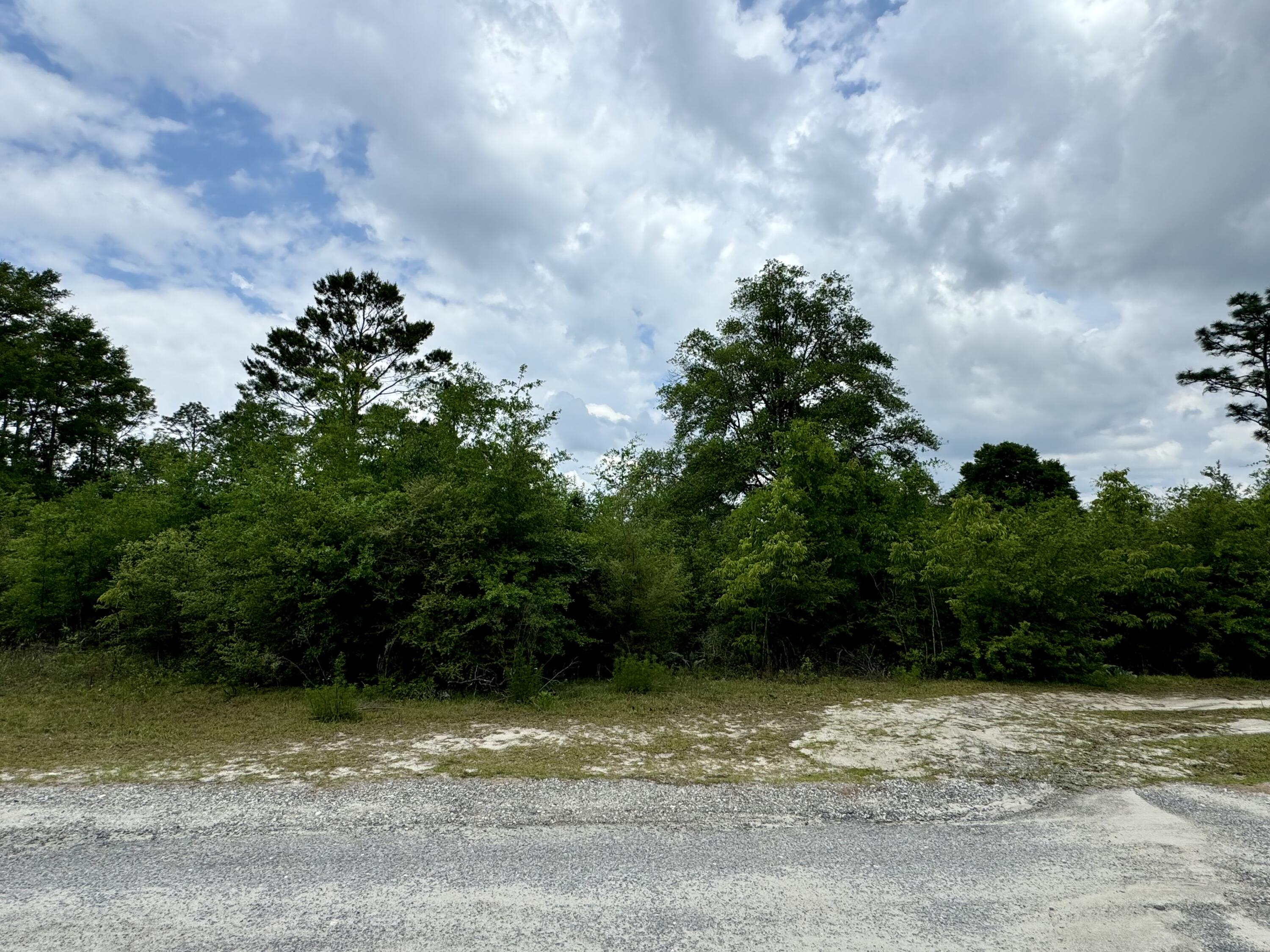 Grassy Pond Ranches - Land