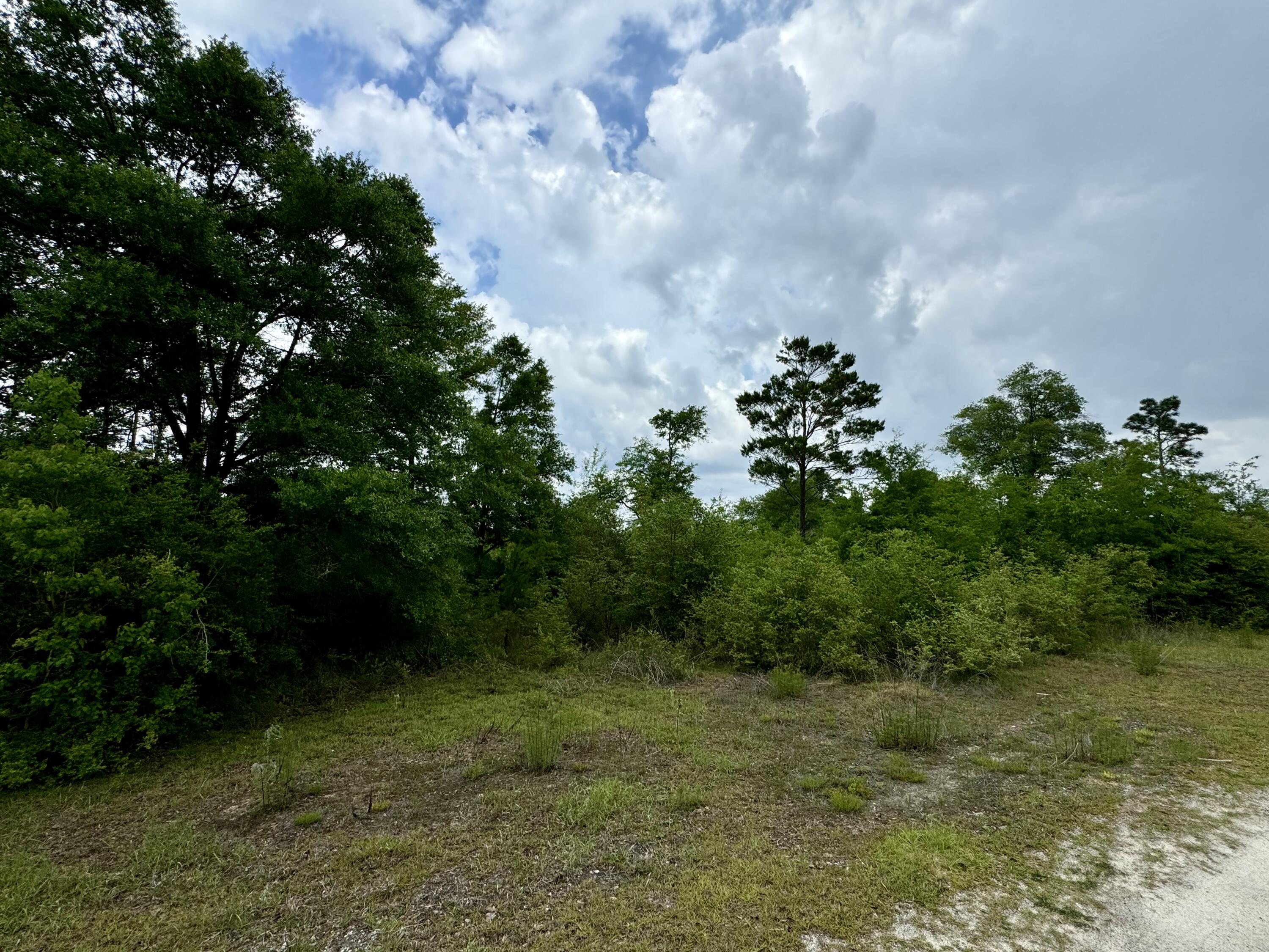 Grassy Pond Ranches - Land