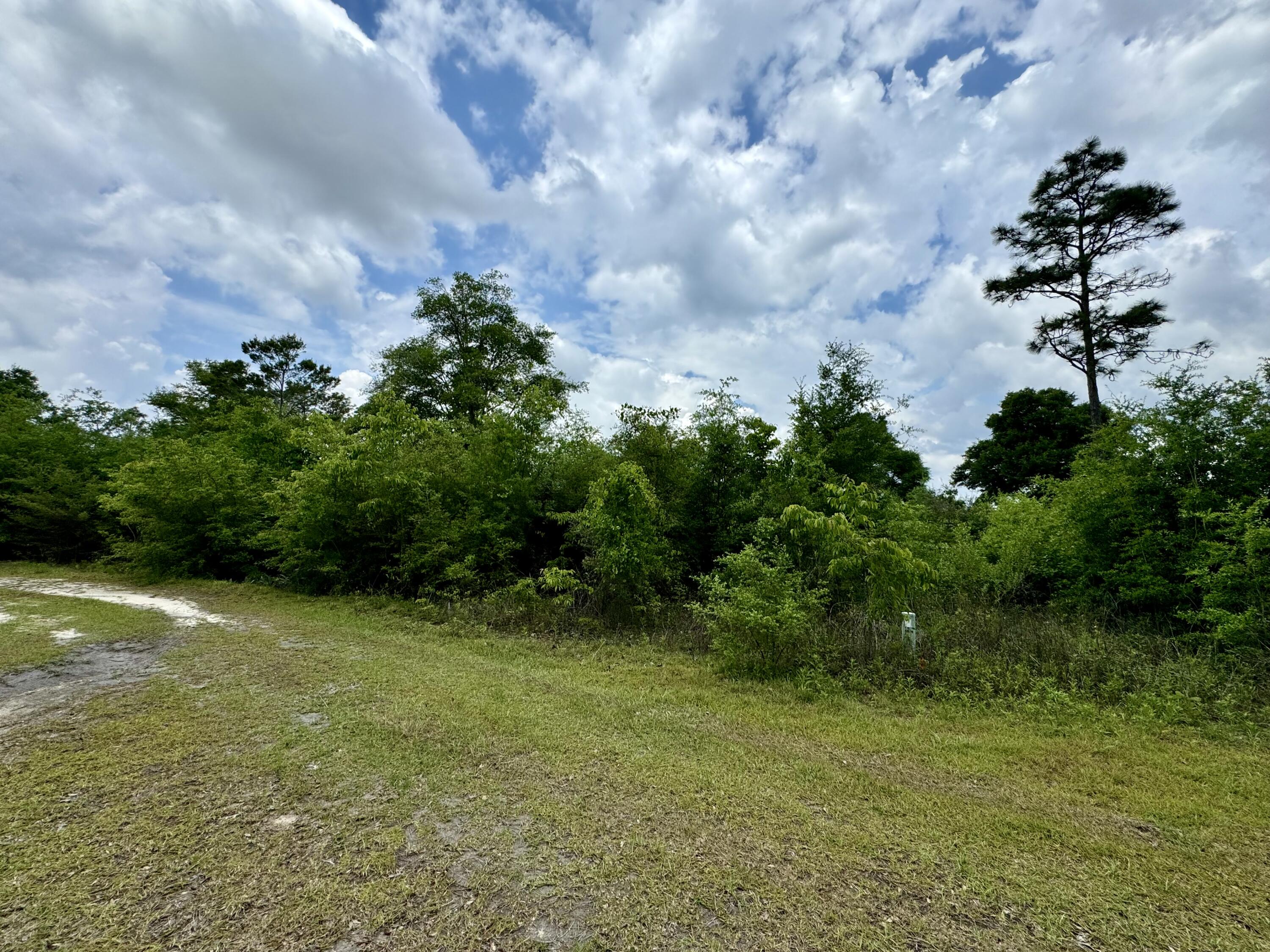 Grassy Pond Ranches - Land