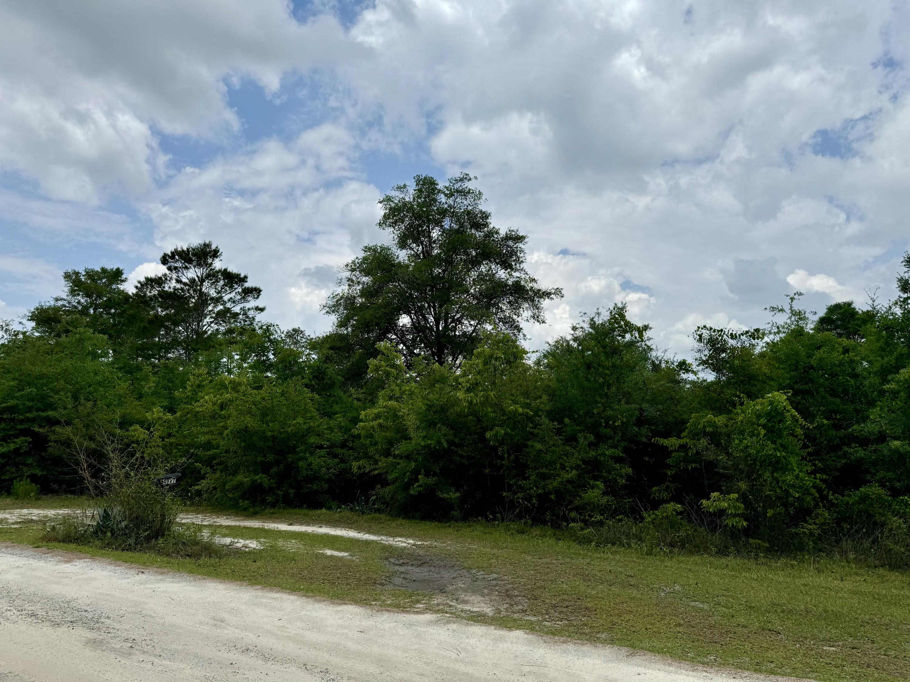 Grassy Pond Ranches - Land