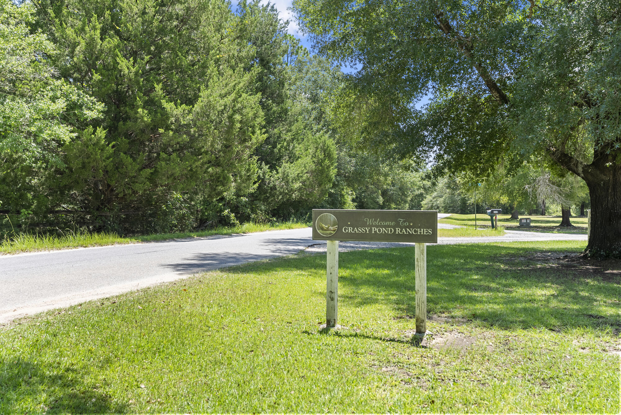 Grassy Pond Ranches - Land