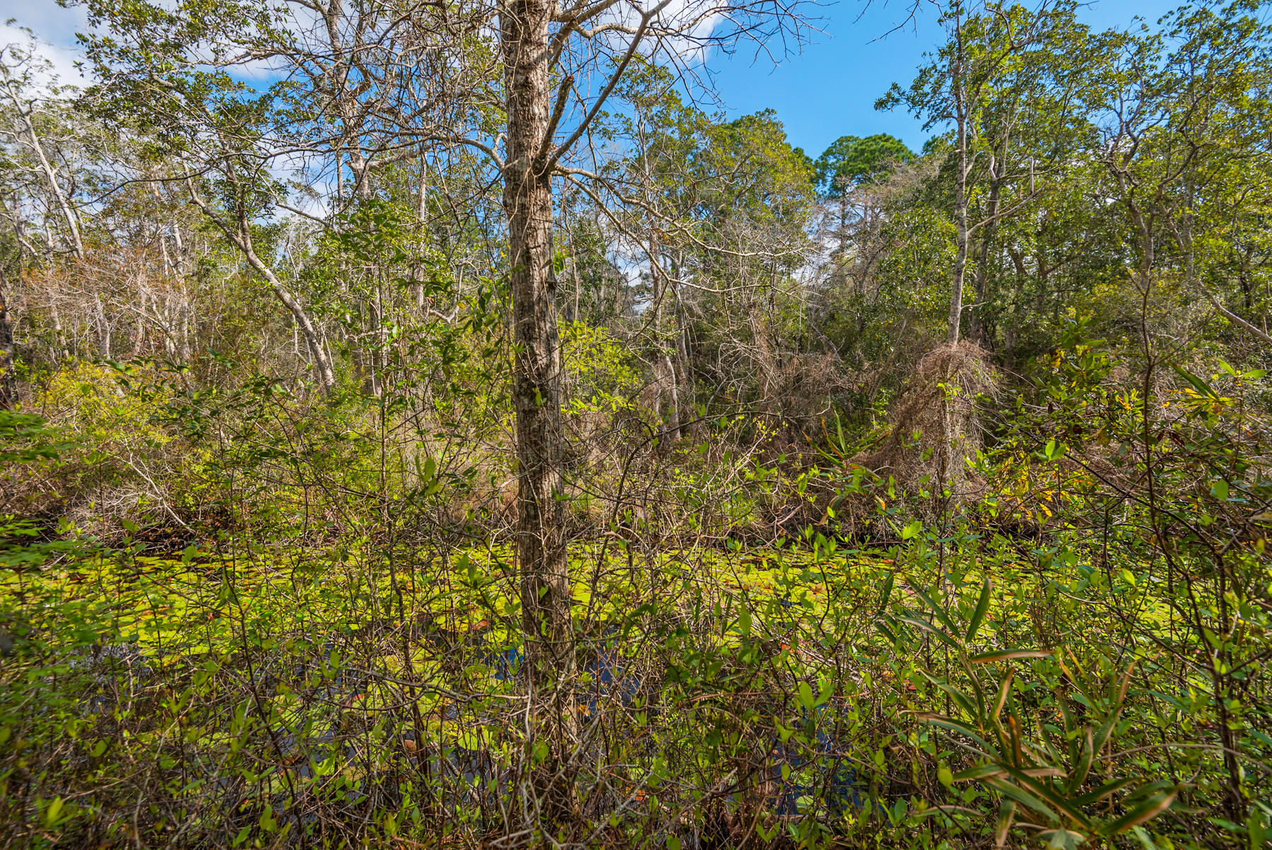 SEAGROVE SHORES 4TH ADD - Residential