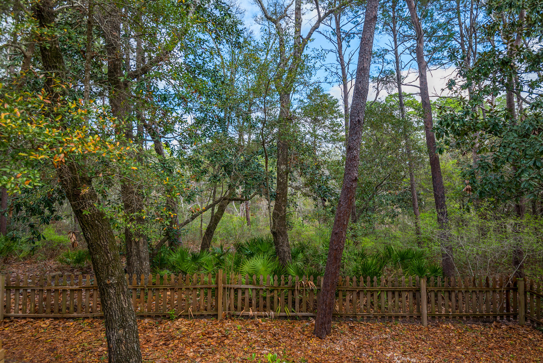 SEAGROVE SHORES 4TH ADD - Residential