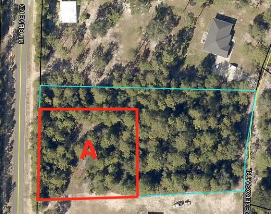 Bring your build plans and Just Bask in the benefit of having NO HOA restrictions! This 1 1+ Acre property is County Zoned as agricultural so bring your horses, cows chickens and barns! Paved road frontage and easy access to Hwy 90, Hwy 393, Hwy 85 , Hwy 2 and I-10. This property gives so many options to spend your free time. Close to Okaloosa Industrial Park, Shoal River ranch, or grab your swim suits and take a short drive to the beach.