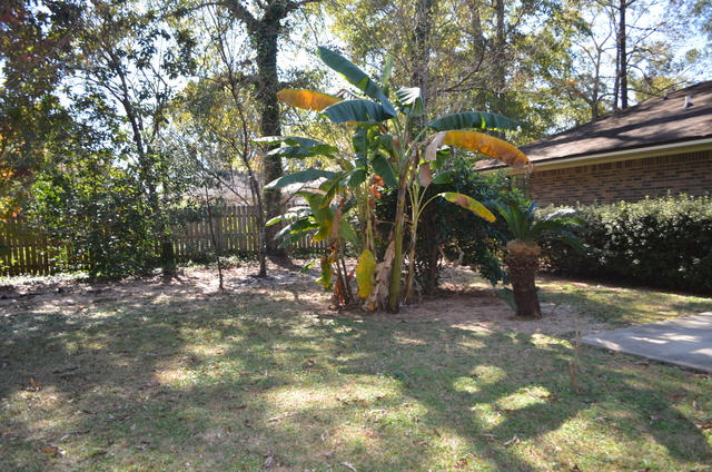 DOGWOOD ESTATES - Residential