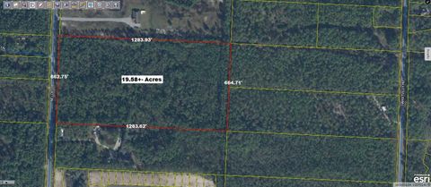 Photo of xx Nellie Drive, Santa Rosa Beach, FL 32459 (MLS # 922046) Photo of xx Nellie Drive, Santa Rosa Beach, FL 32459 (MLS # 922046)