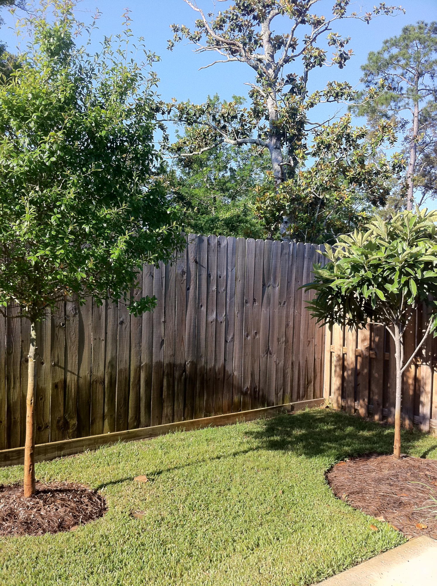 MARINA LANDING - Residential