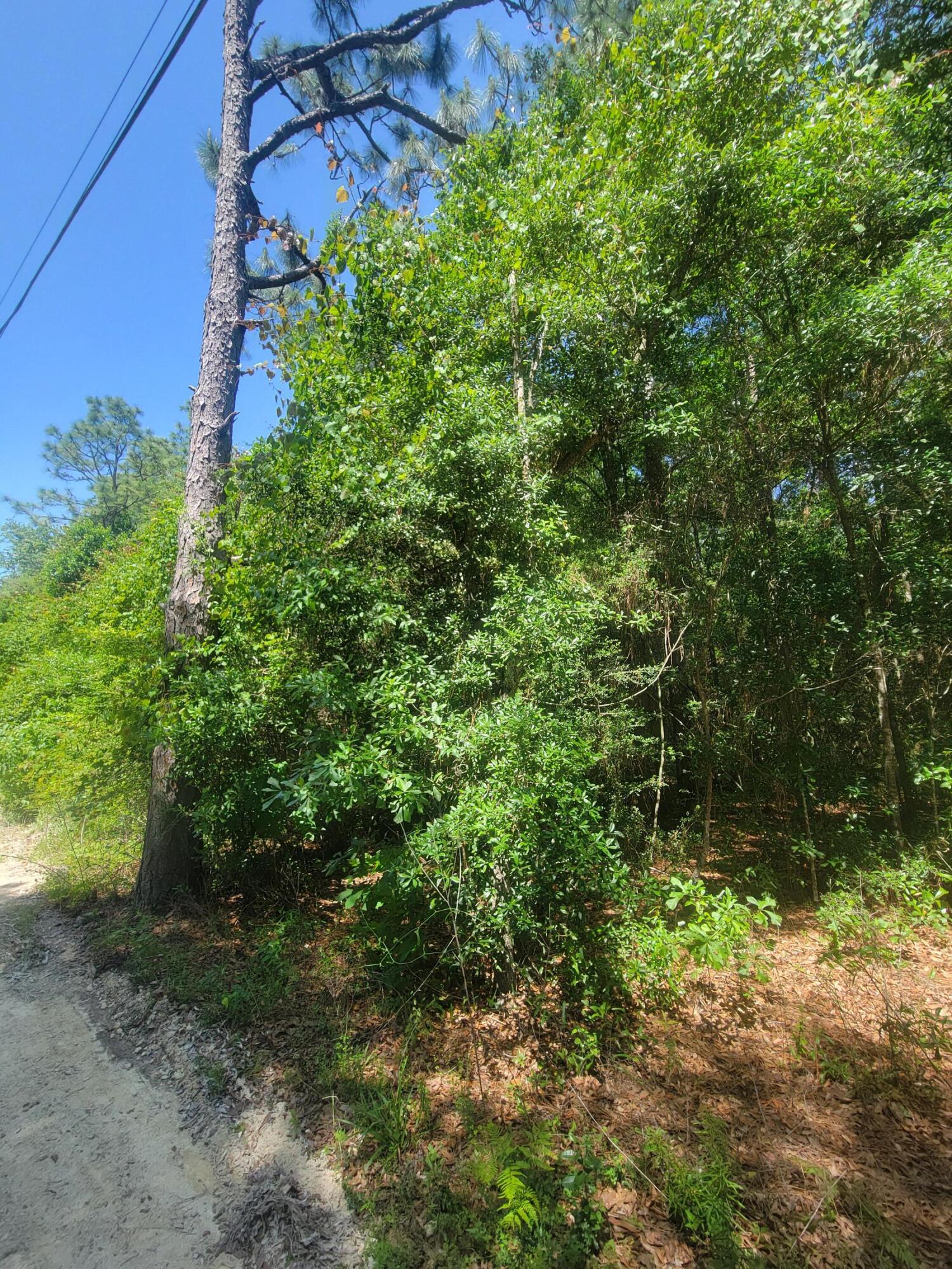 Beautiful 3.2 acres on NW side of Kings Lake. A very private area. You will have 58' on Kings Lake with access to this big beautiful 500+ acres of the best fishing ever! Plenty of bream, bass, crappie and catfish waiting for you. Wonderful area to build your new house or manufactured home. City water available. Tap fee not paid.