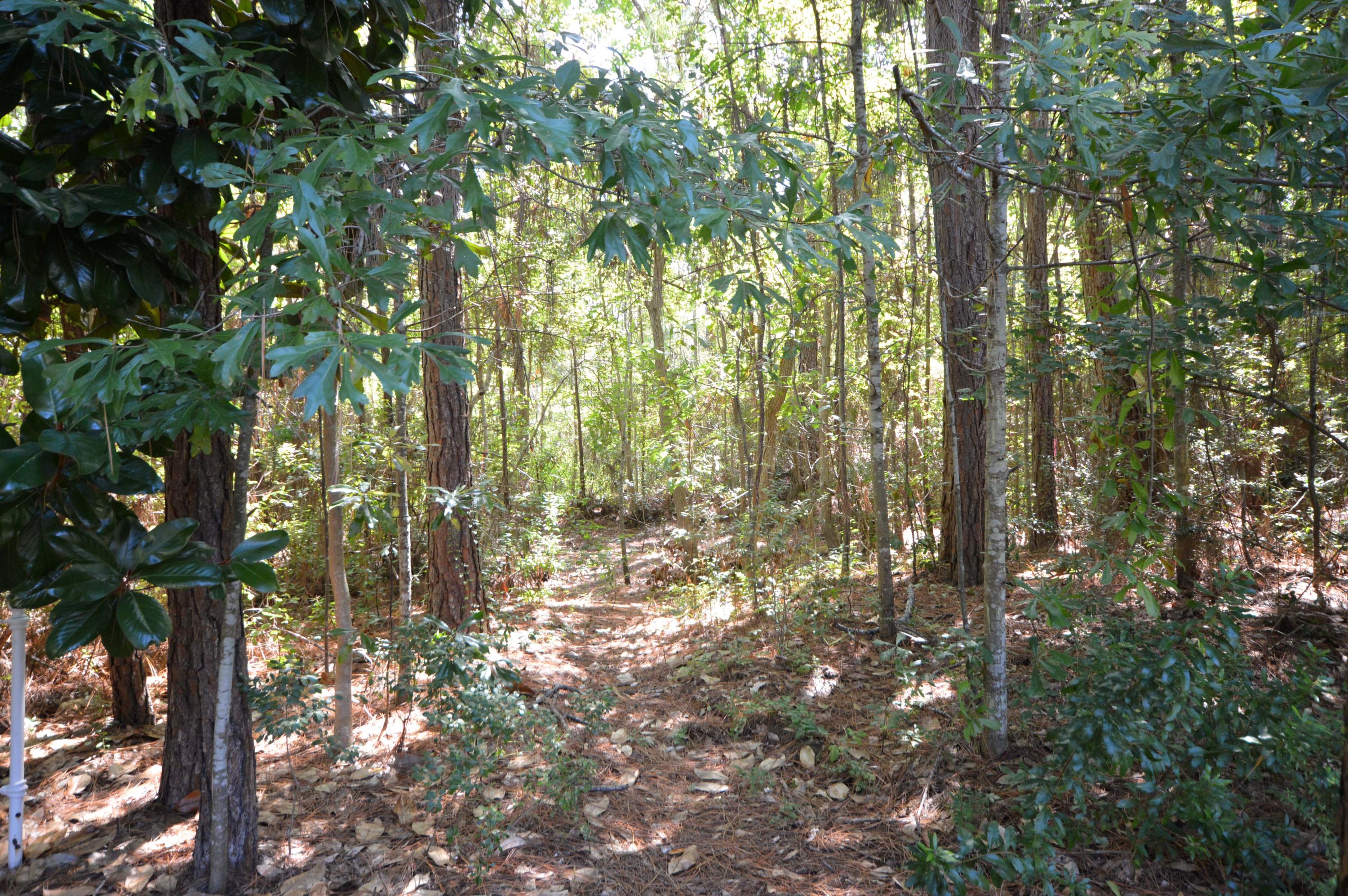 WYNNEHAVEN BEACH ESTATES - Residential