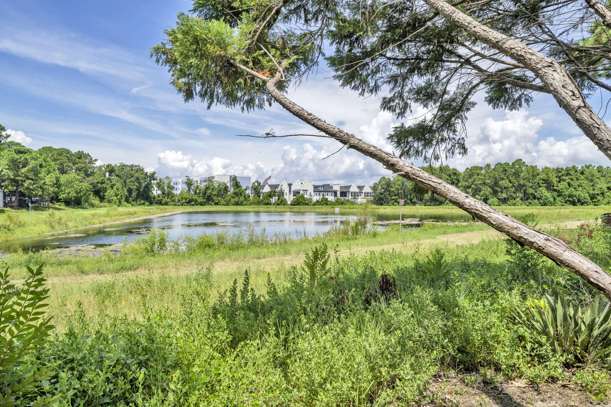 BAYSIDE - Residential