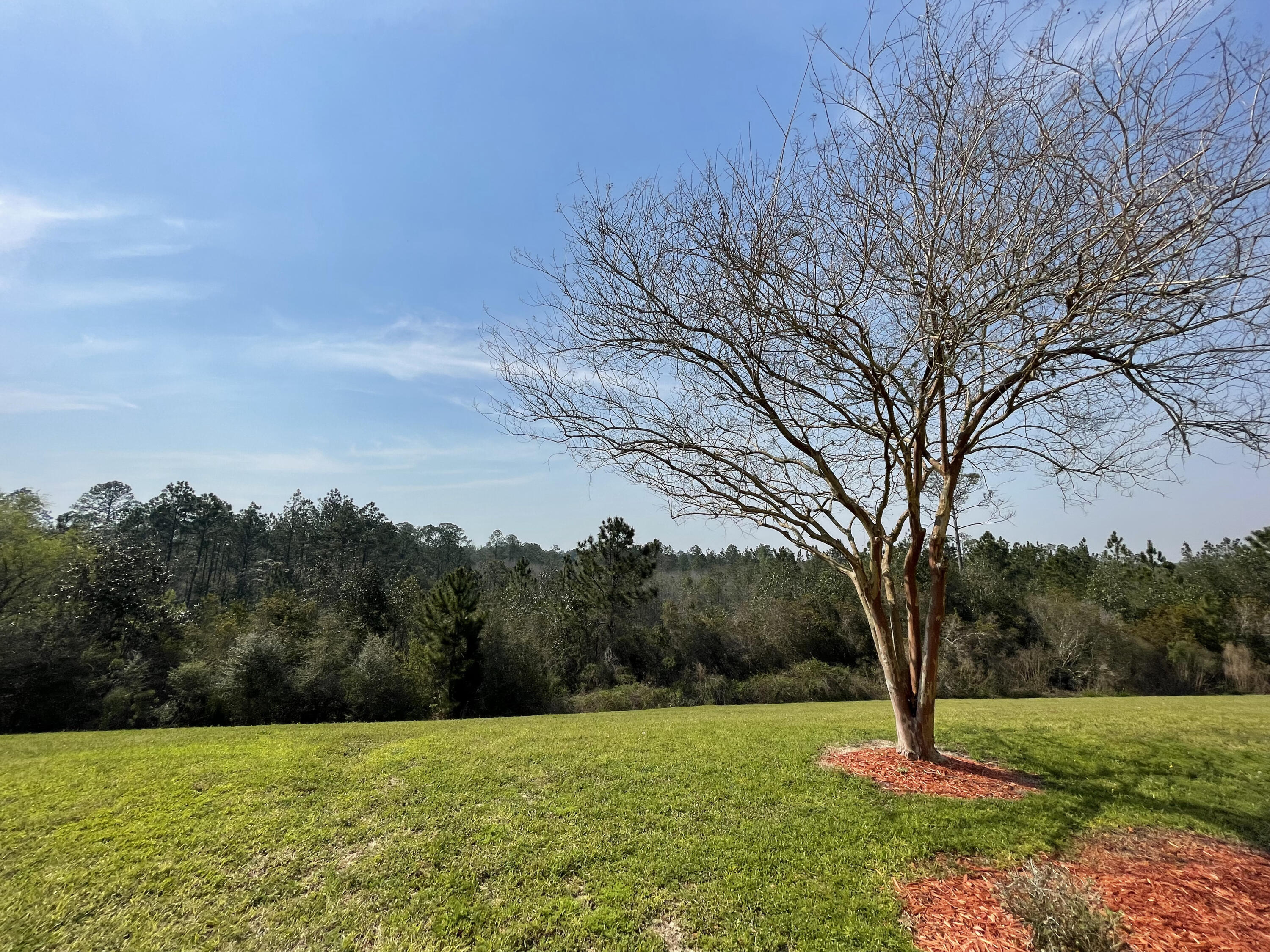 EAGLES LANDING S/D - Residential