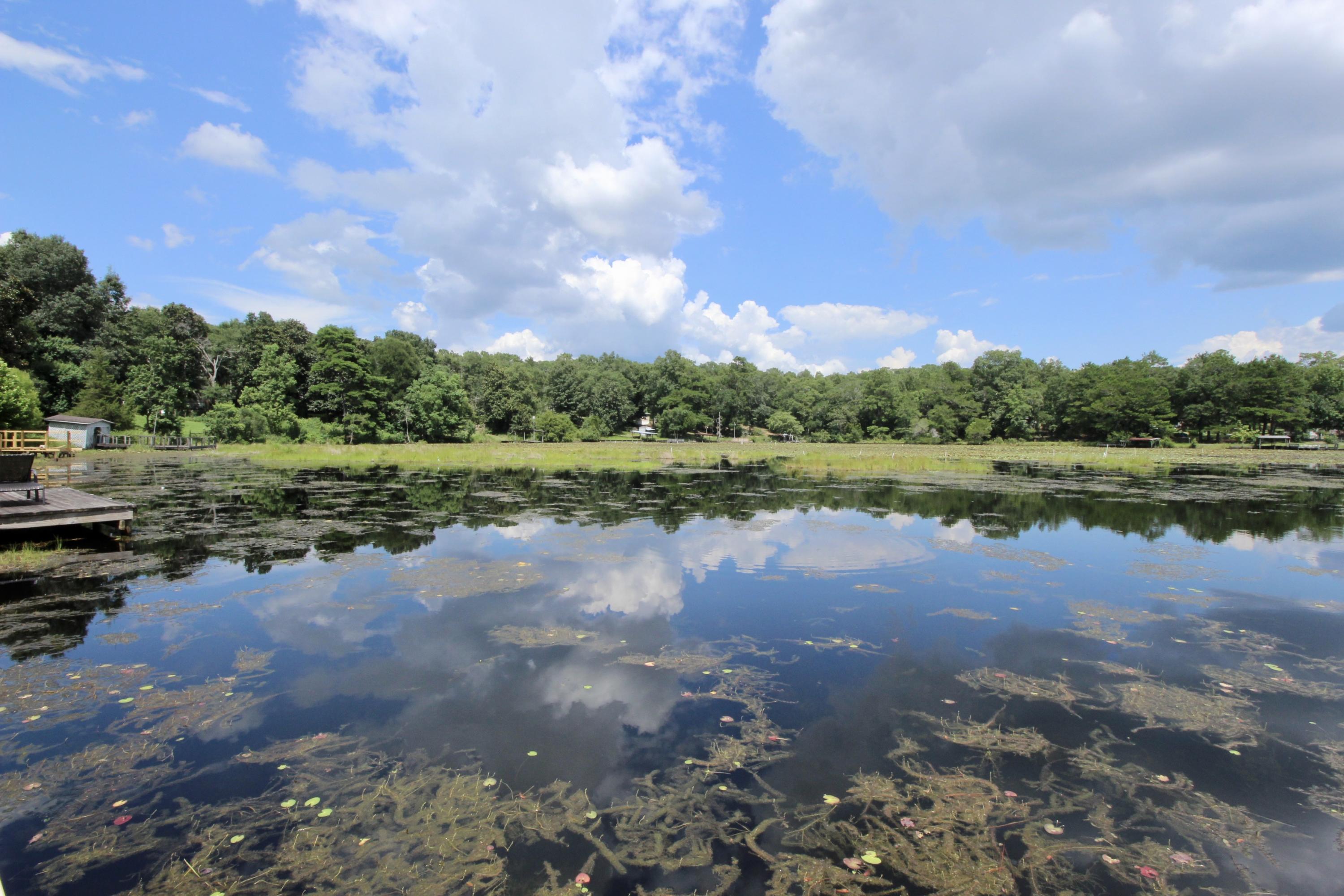 County - Residential