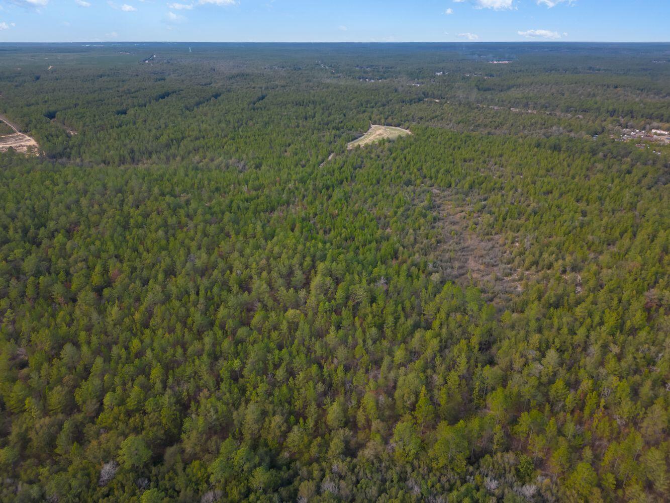 METES & BOUNDS - Farm