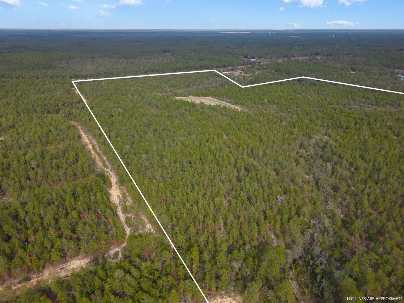 METES & BOUNDS - Farm