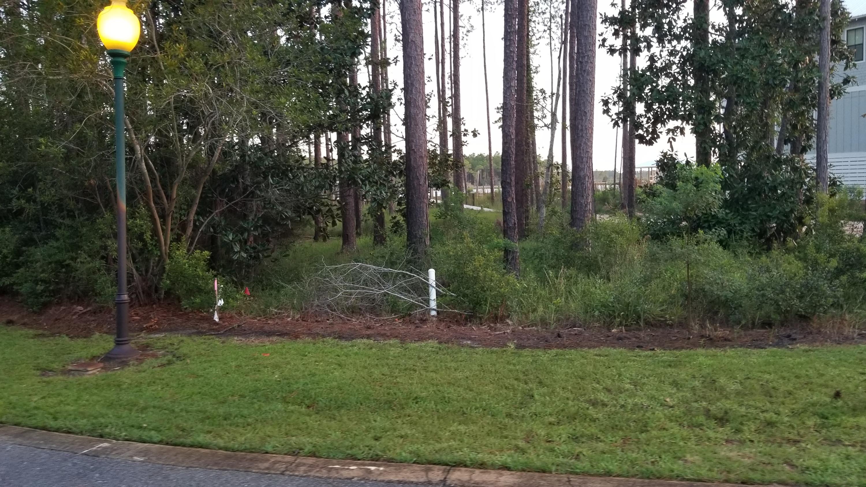 CESSNA LANDING - Land