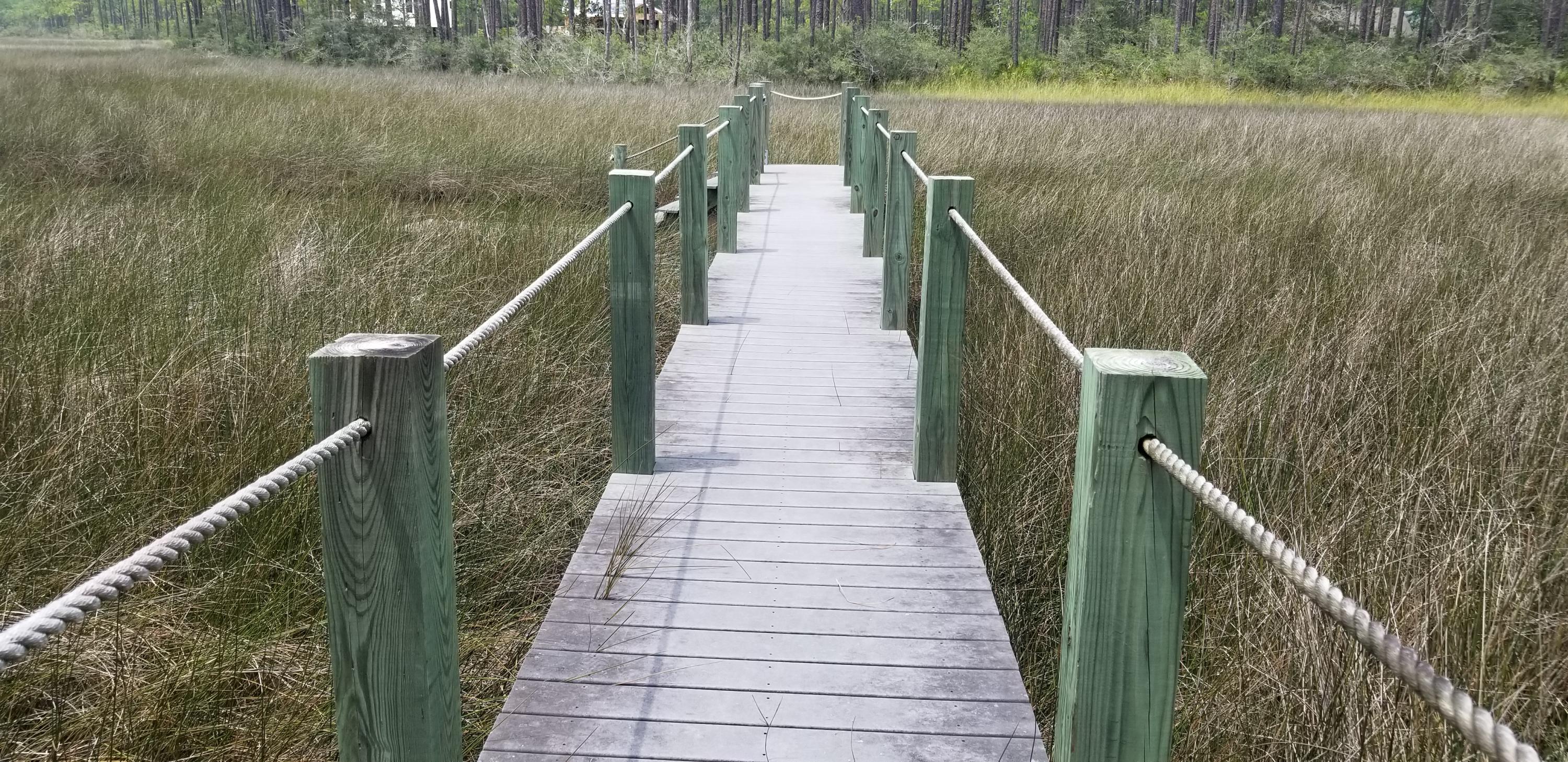 CESSNA LANDING - Land