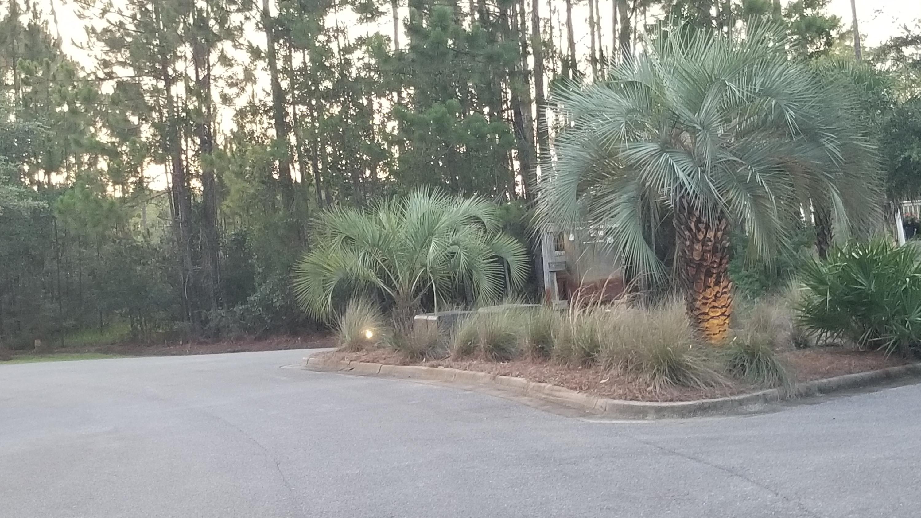 CESSNA LANDING - Land