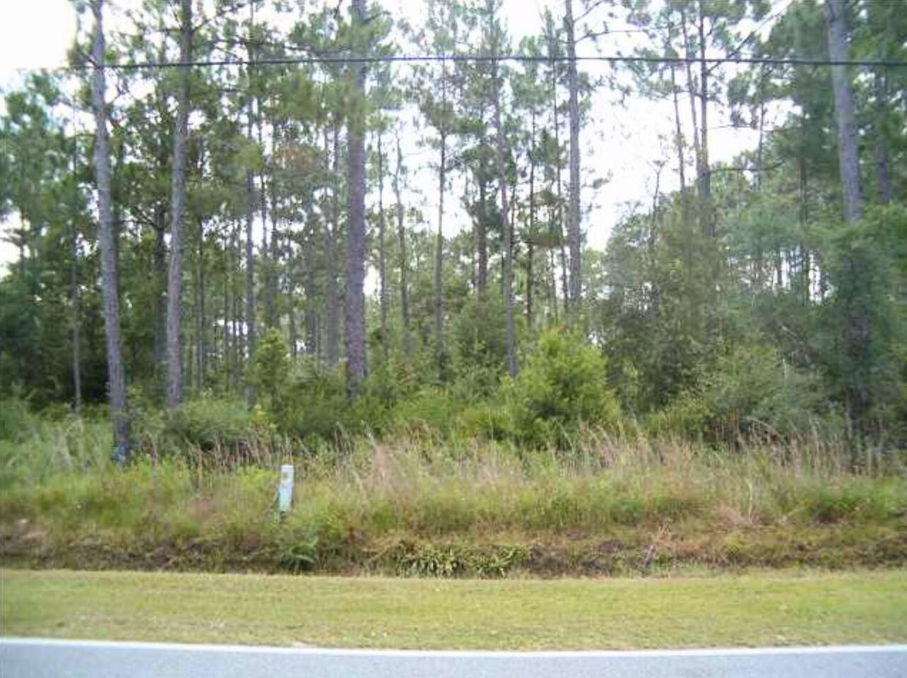 Great location just over the 331 bridge in Freeport. Large lot for developing. According to a ''Request for Determination of Current Land Use Designation'' from Walton County this parcel's land use is Rural Village. Buyer to do their own due diligence.