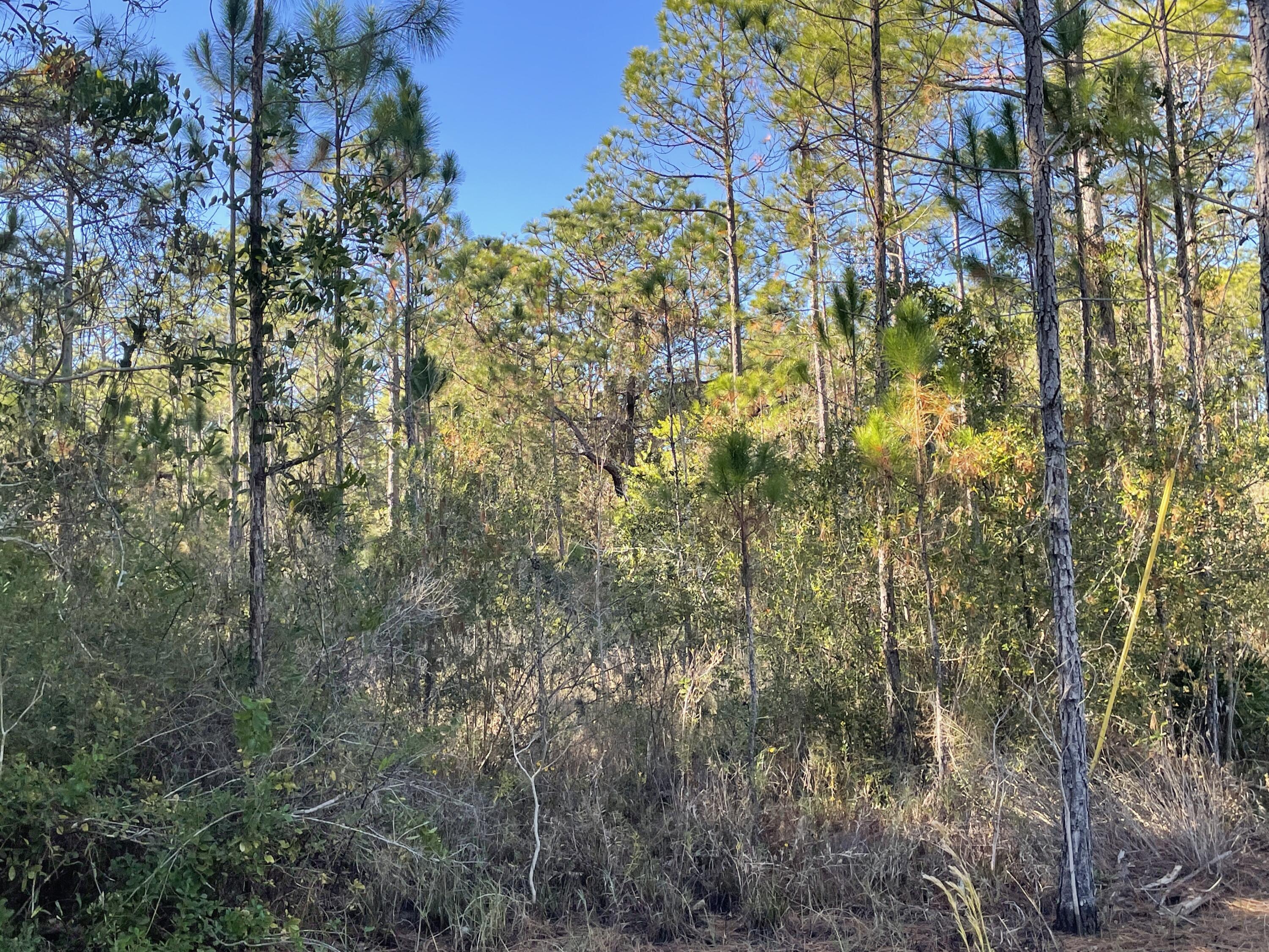 TOWN OF SANTA ROSA - Land