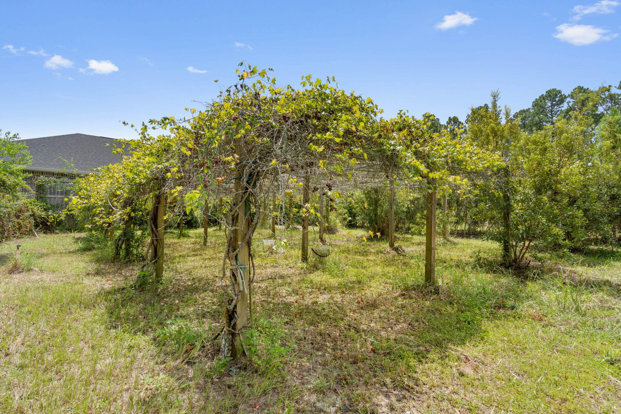 NONESUCH WAY - Residential