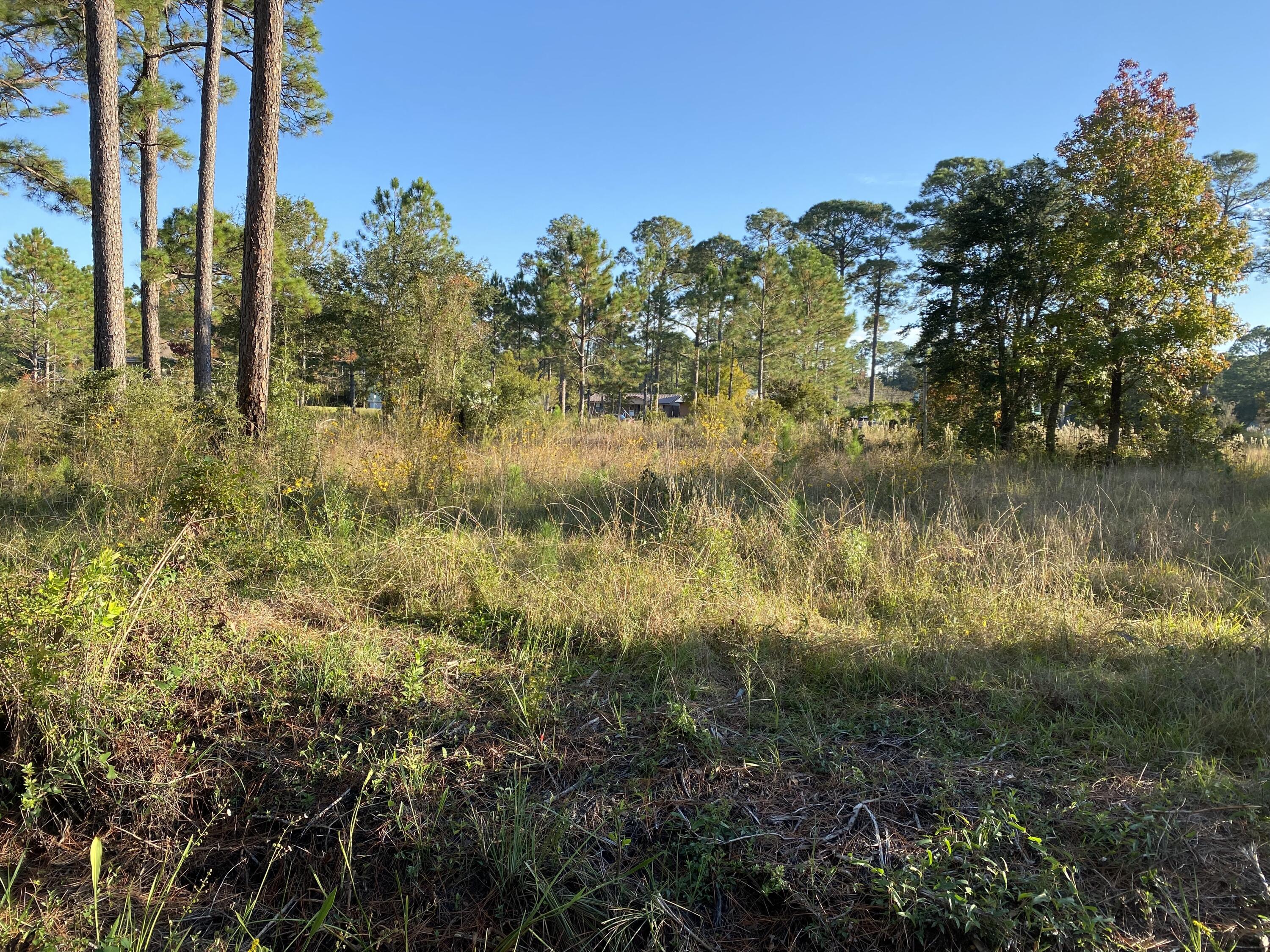 Build your dream home on this great lot located off of Ward Basin Rd! This beautiful, 0.4 acre interior lot has some trees throughout the property. The property is 5 minutes away from I-10, within 8 minutes of Hwy 87, within 15 minutes of Downtown Milton, within 30 minutes of Hwy 98 in Navarre. Come see this property today!