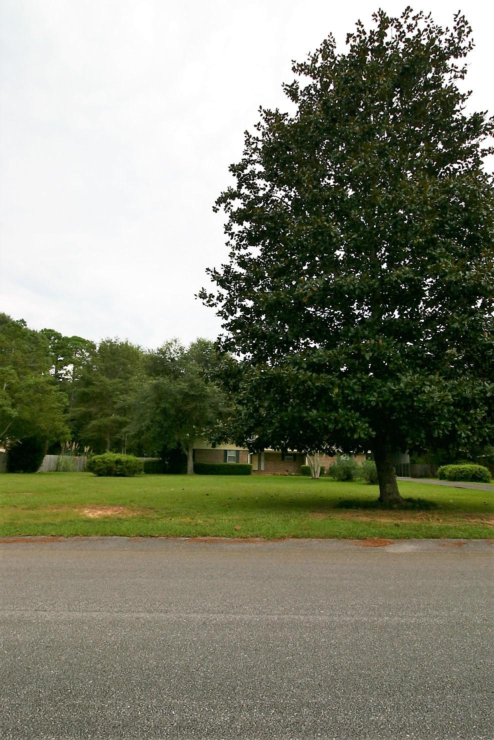 HOLLY HILLS - Residential