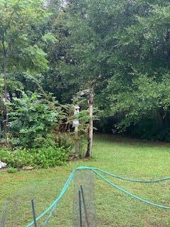 ADAMS POWELL - Residential