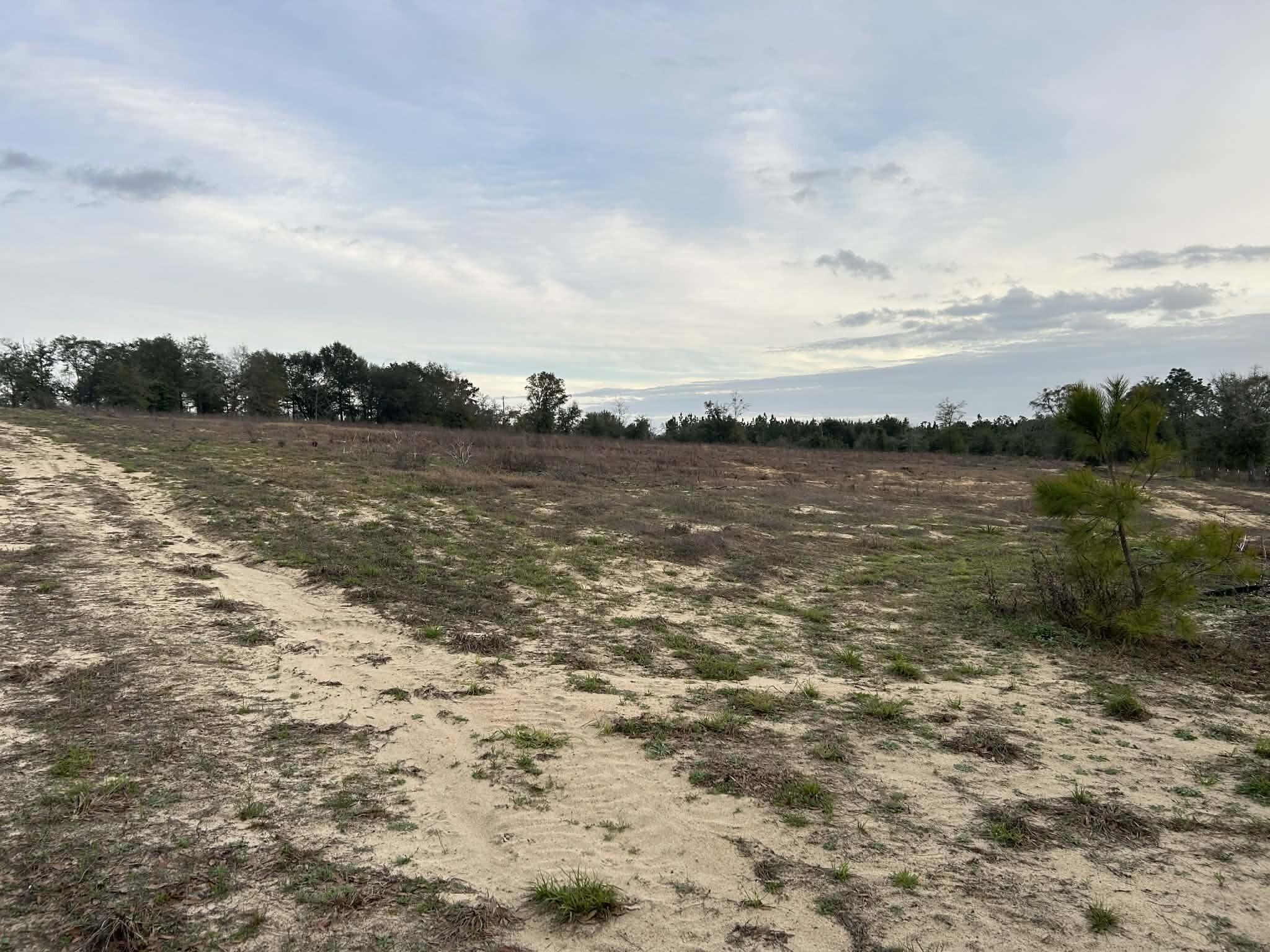 METES & BOUNDS - Farm