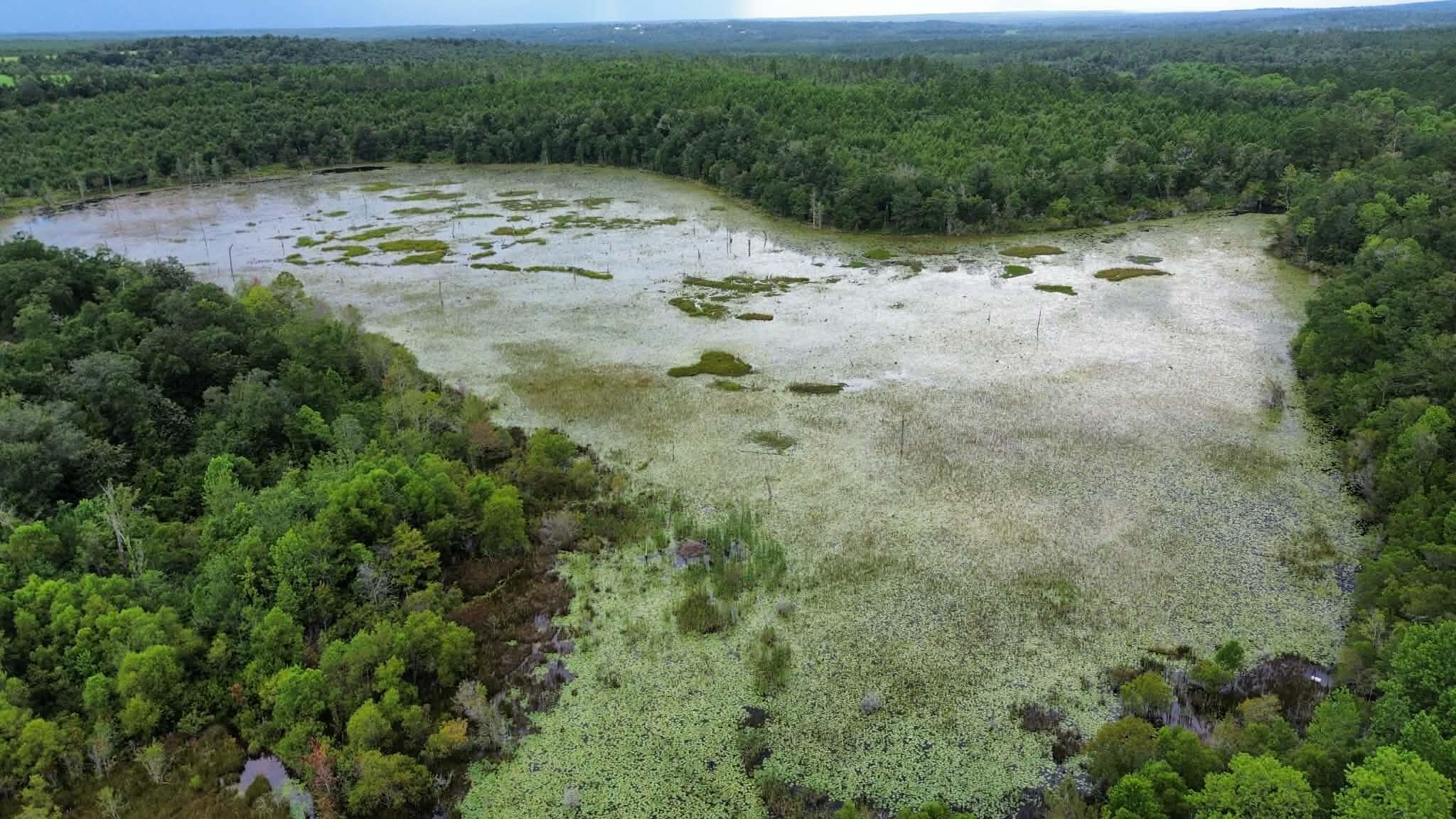 METES & BOUNDS - Farm