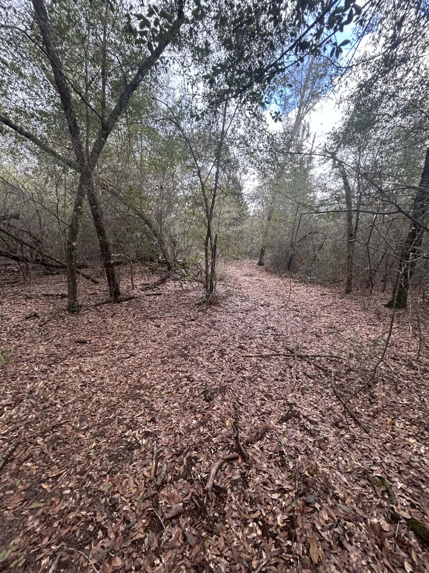 METES & BOUNDS - Farm