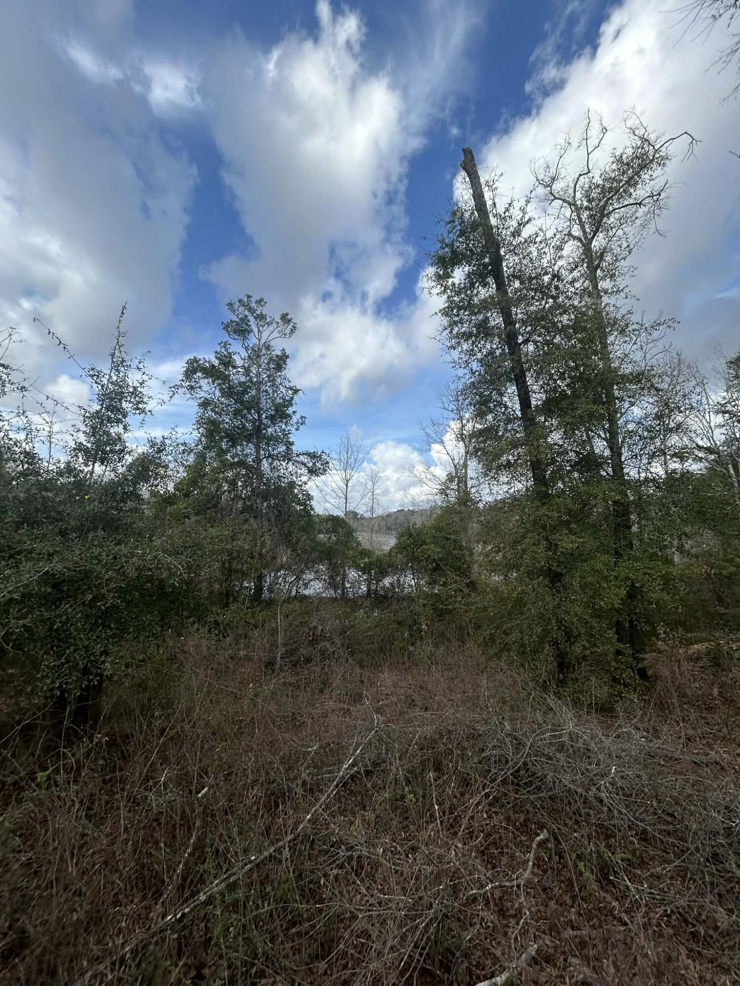 METES & BOUNDS - Farm