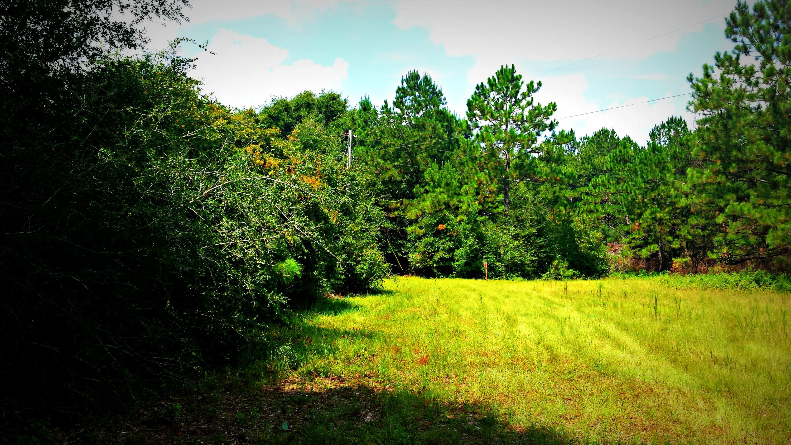 HAMMES PROPERTY - Land
