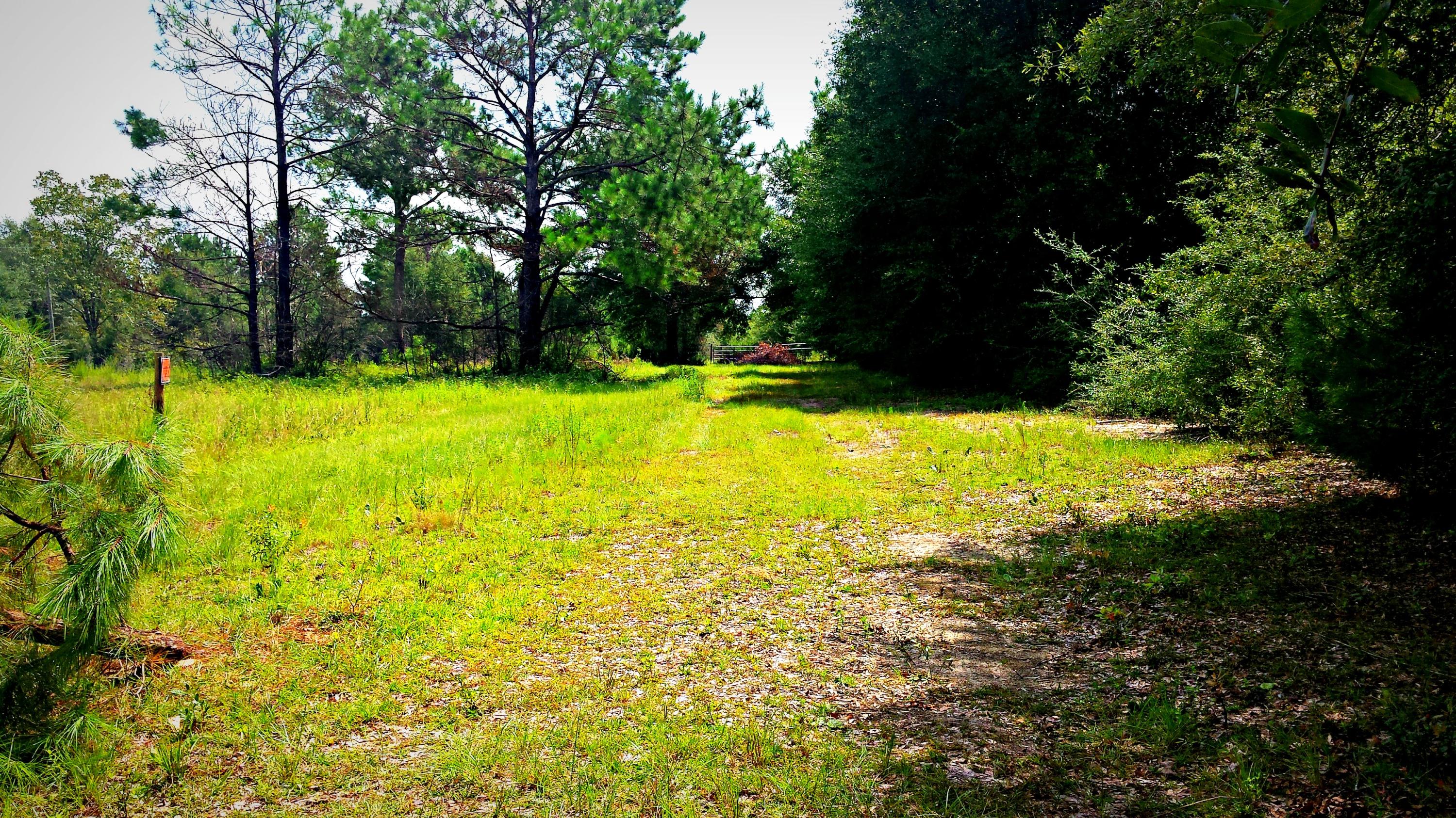 HAMMES PROPERTY - Land