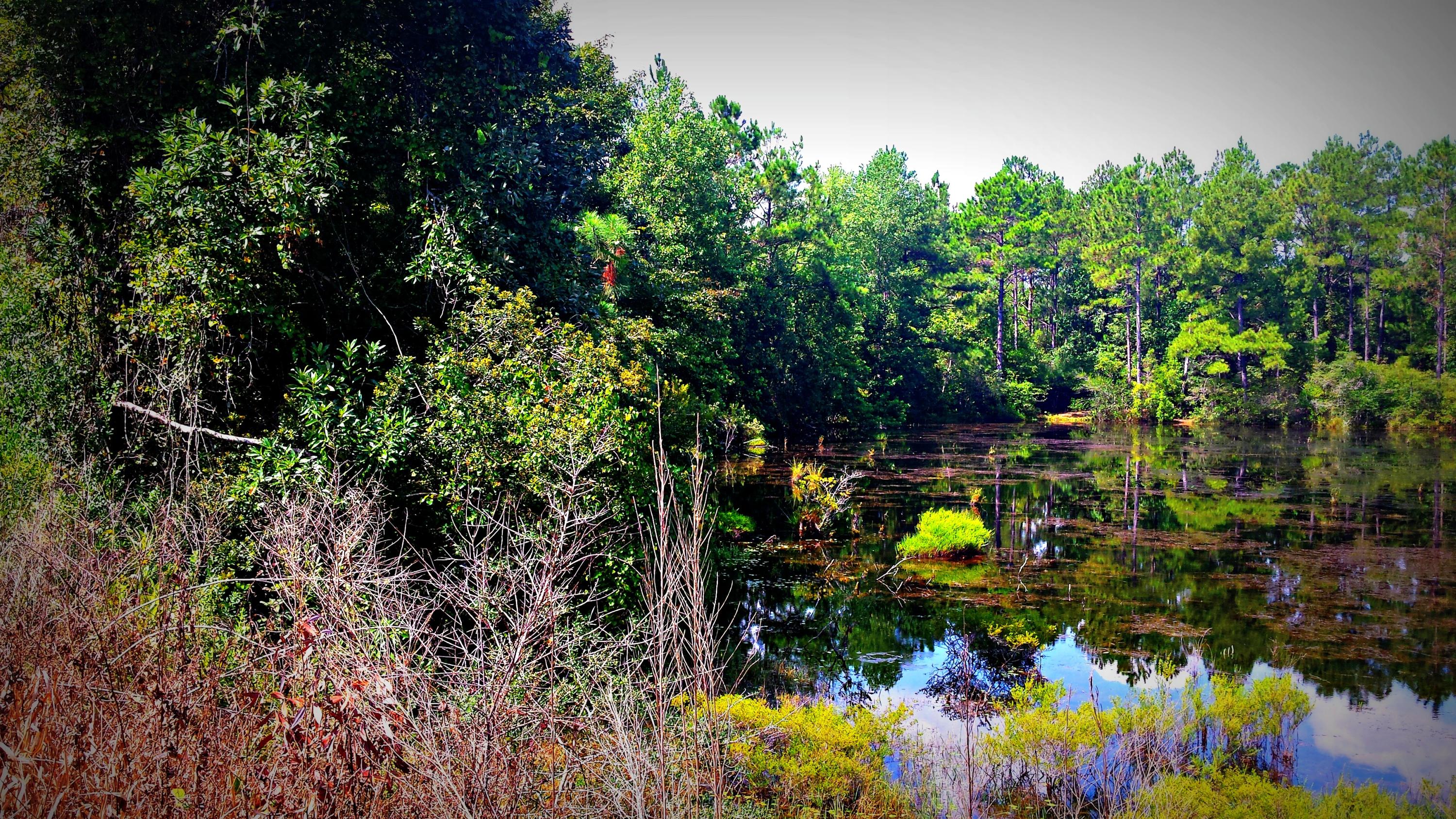 HAMMES PROPERTY - Land