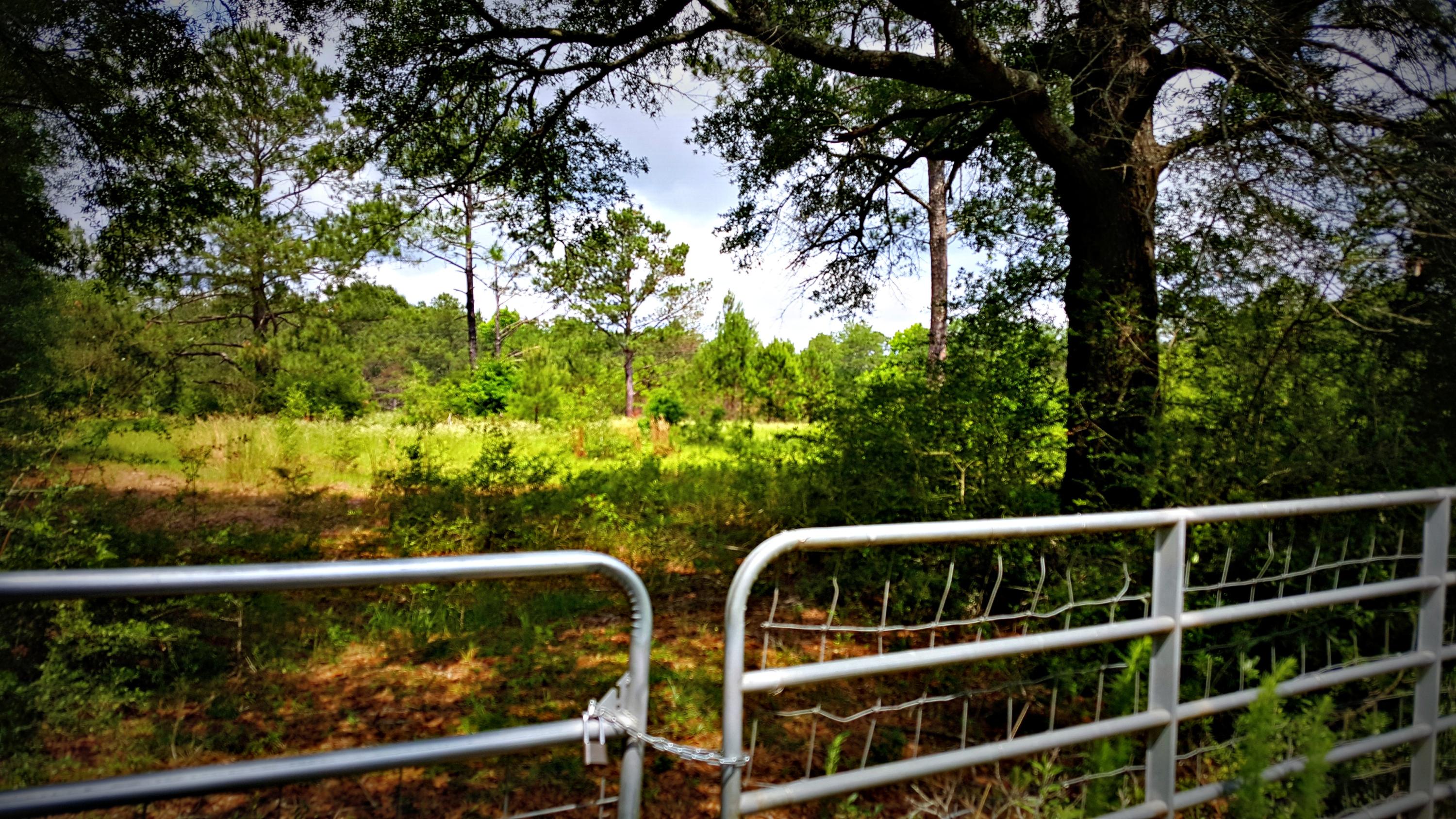 HAMMES PROPERTY - Land