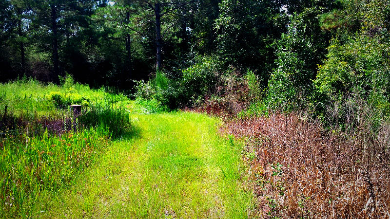 HAMMES PROPERTY - Land