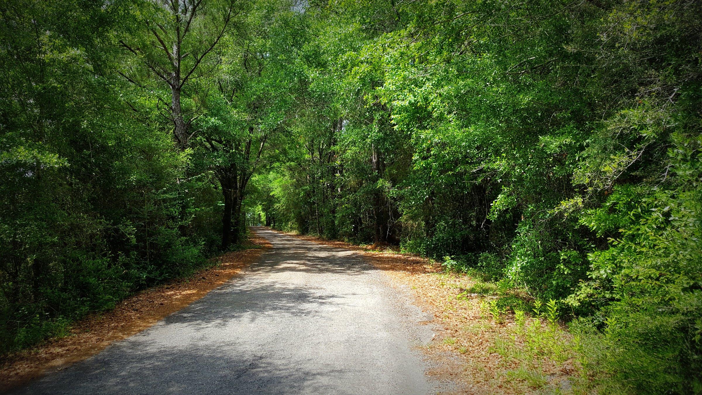 HAMMES PROPERTY - Land