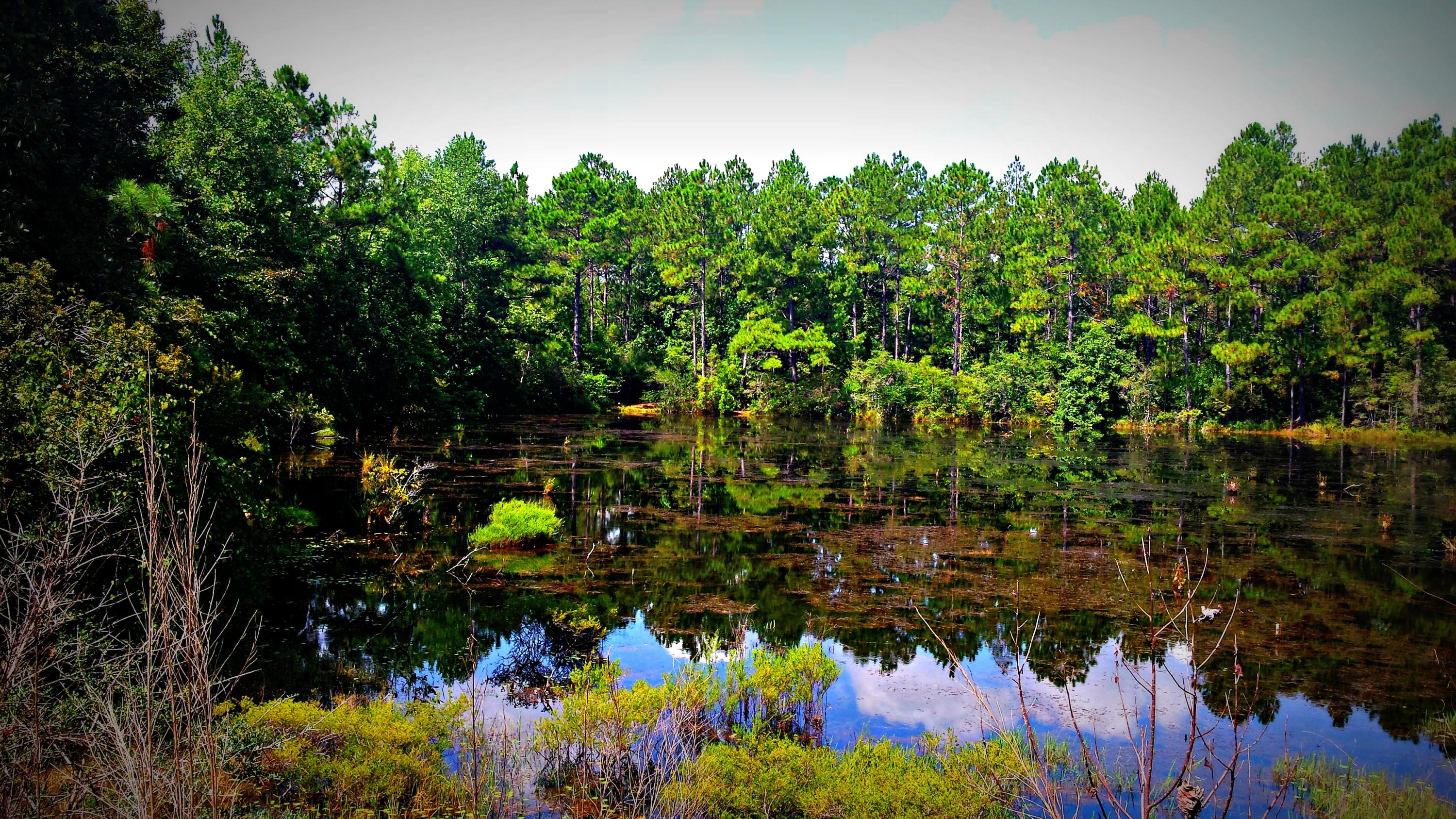 HAMMES PROPERTY - Land