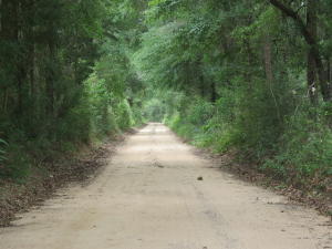 This Beautiful 8.88 Acre parcel located in Holt Florida could make for a perfect home site with very few neighbors. Property features an abundance of beautiful hardwoods scattered throughout. This property will not only provides a future buyer with a ton of potential for a nice secluded home site. You could also use this property as a recreational get away. The South and West ends of the property backs up to several acres of timberland that should provide wildlife galore. Being only .2 miles from hwy 90 you are a short drive to Holt, Baker, and only 20 Minutes from the heart of Crestview. Sale Contingent on County lot split approval. Acreage to be determined by survey